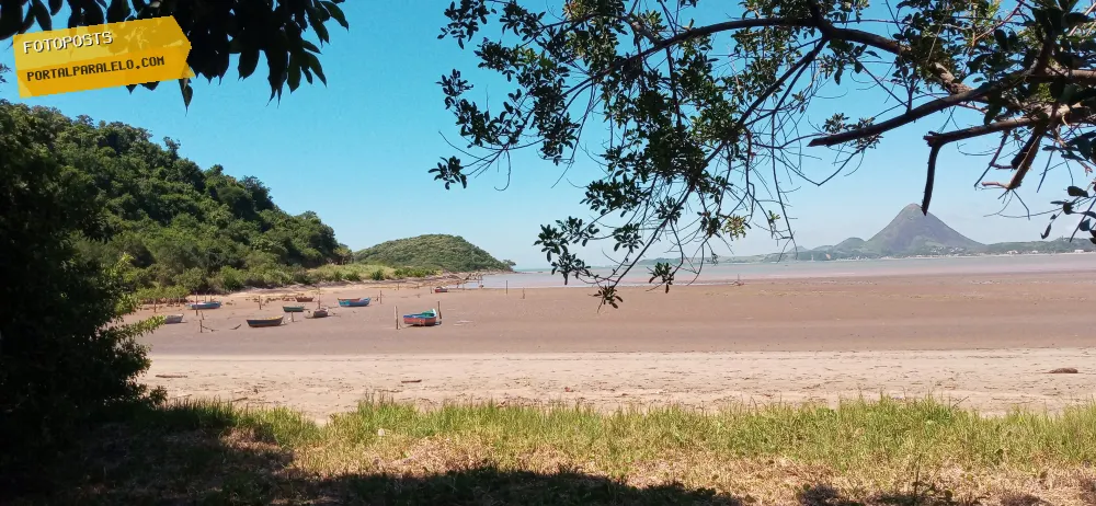Ilha do Gambá
