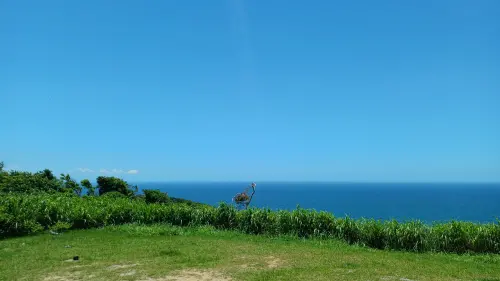 O verde da natureza, o mar e o céu azul