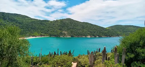 Praia com natureza em volta