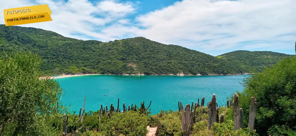 Praia com natureza em volta