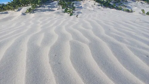 Areia de Praia