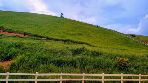 Cercado de fazenda de interior